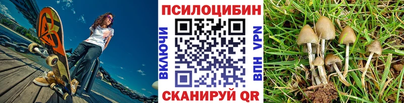 kraken ONION  Муром  Псилоцибиновые грибы прущие грибы 